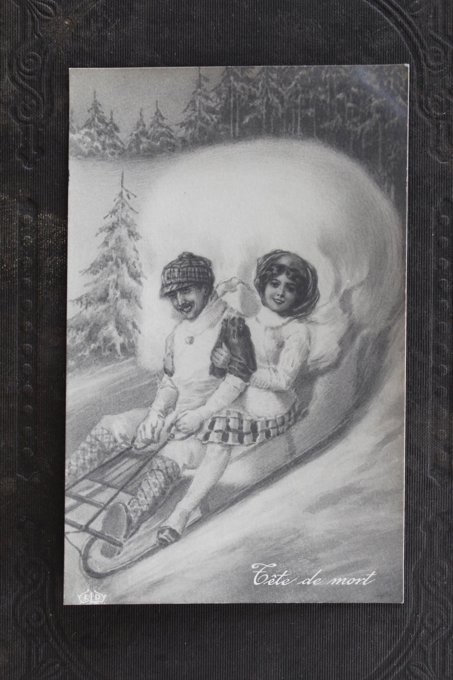 Fête de Mort - Metamorphic Skull Postcard