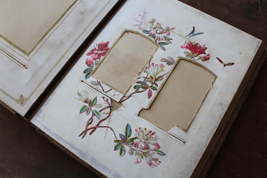 19th Century Floral Album