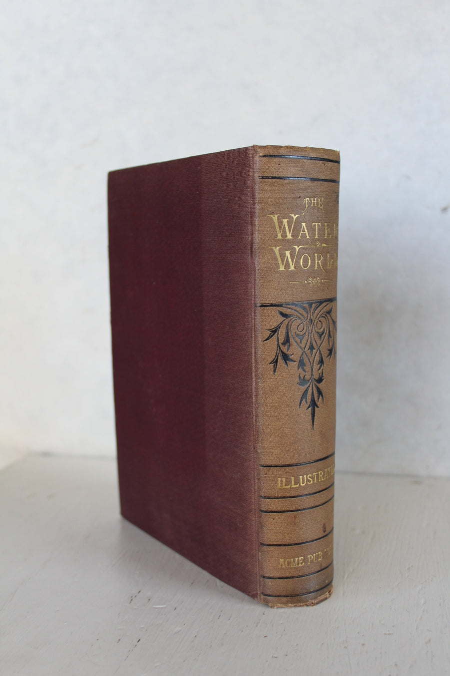 The Water World 1883 - 1st Ed.