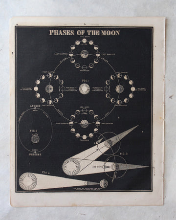Phases of the Moon - 1866 Astronomy Engraving