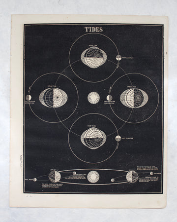 Tides - 1866 Astronomy Engraving