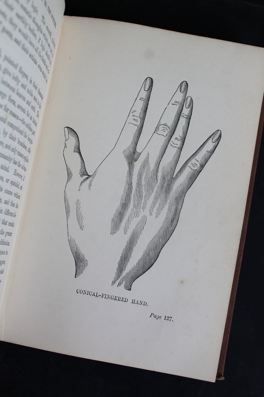 Your Luck’s in Your Hand c. 1890 SHIP