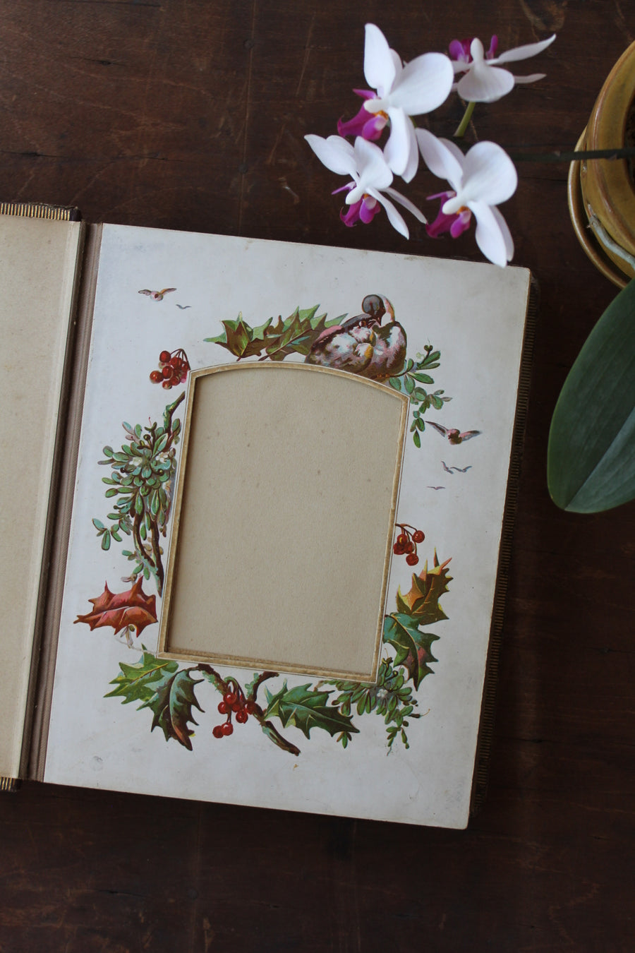 19th Century Floral Album