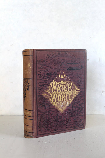 The Water World 1883 - 1st Ed.