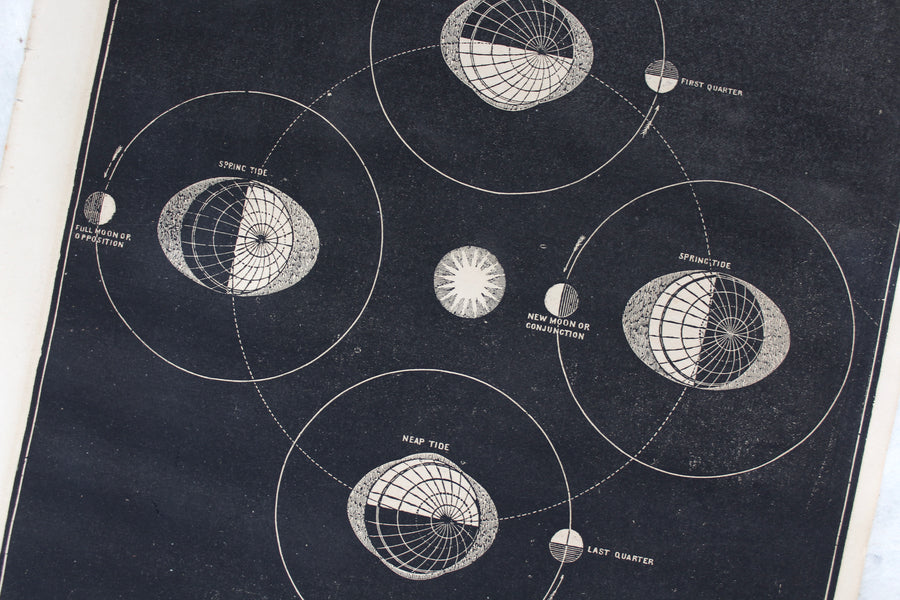 Tides - 1866 Astronomy Engraving