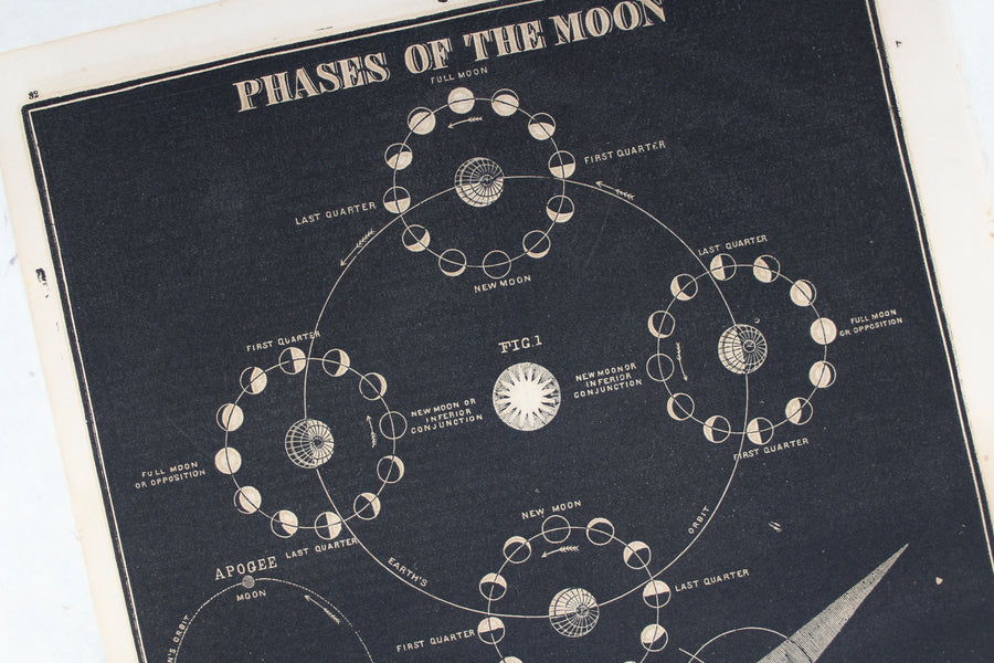 Phases of the Moon - 1866 Astronomy Engraving