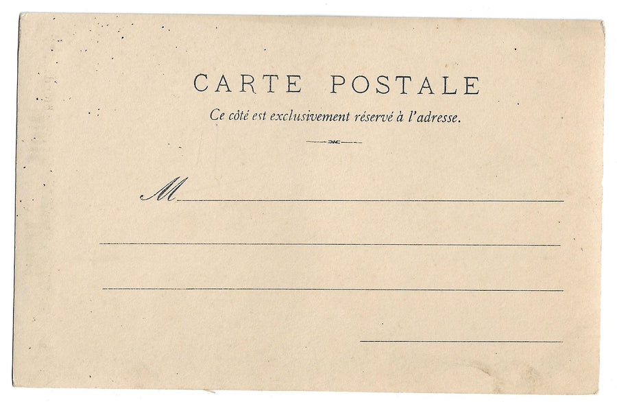 French Fortune Teller Postcard