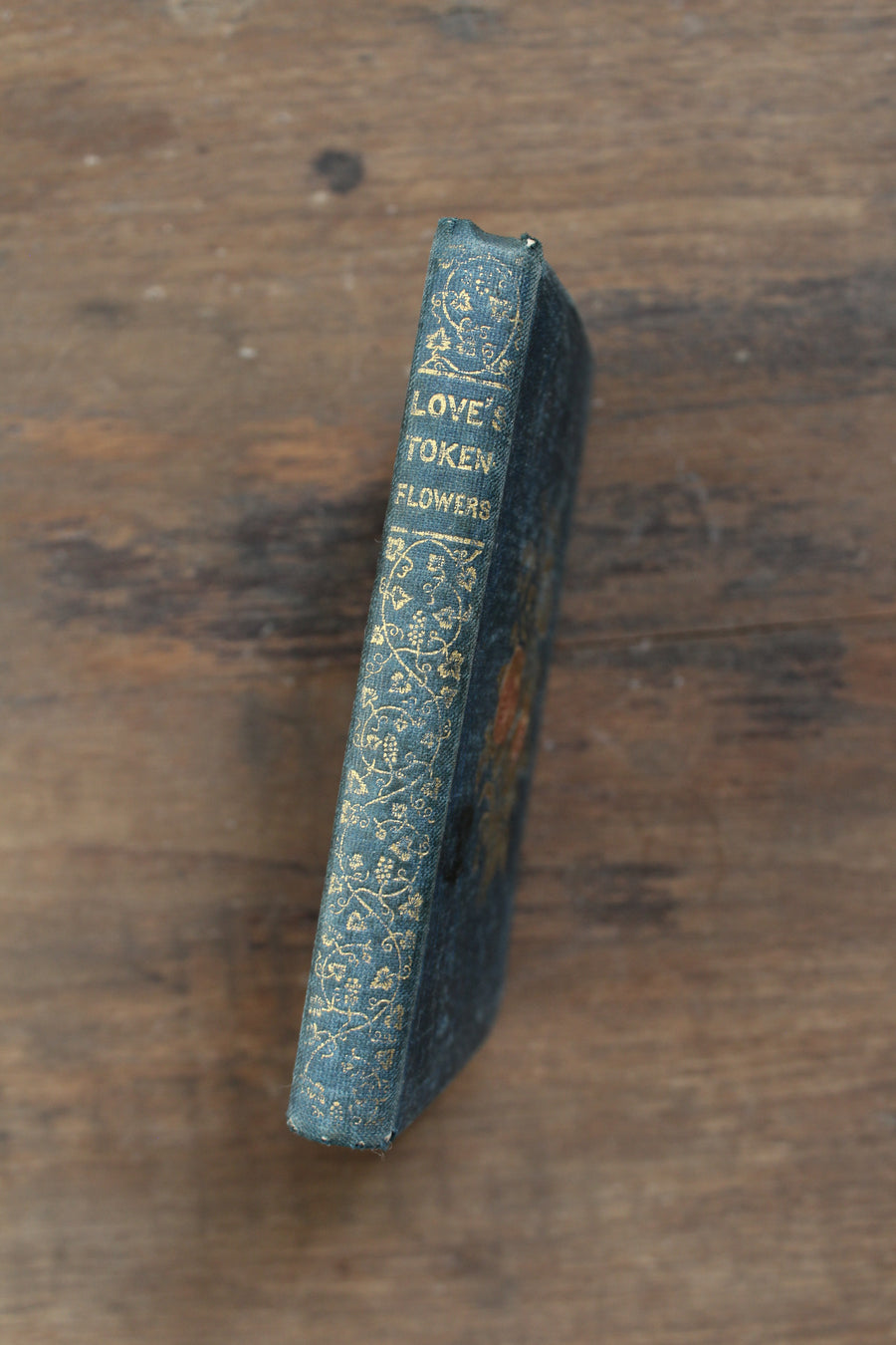 Love's Token-Flowers, 1848