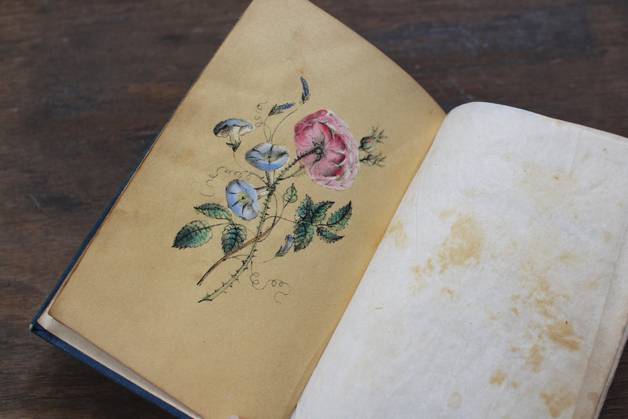 Love's Token-Flowers, 1848