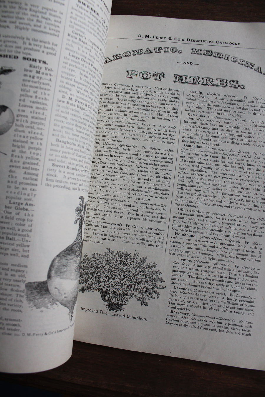 RESERVED - 1885 D.M. Ferry & Co. Seed Catalog