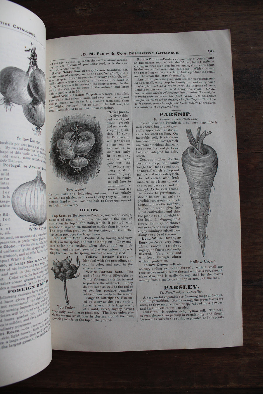 RESERVED - 1885 D.M. Ferry & Co. Seed Catalog