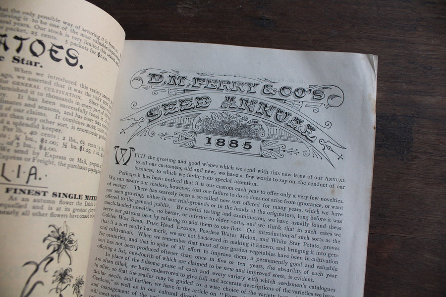 RESERVED - 1885 D.M. Ferry & Co. Seed Catalog
