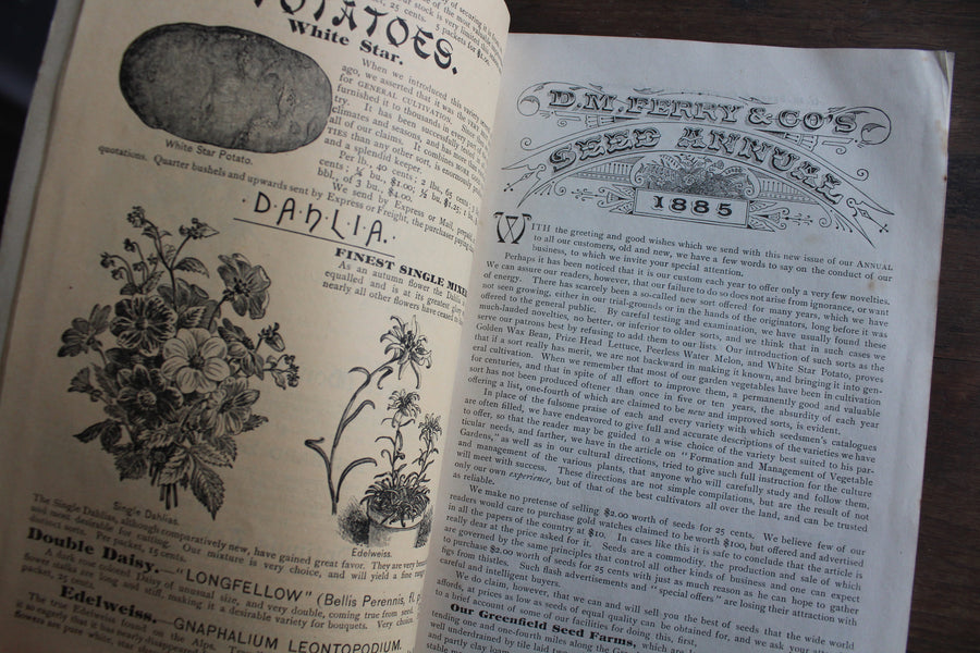 RESERVED - 1885 D.M. Ferry & Co. Seed Catalog
