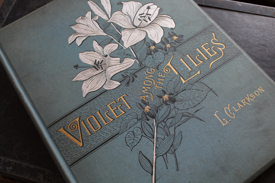 Violet Among the Lilies by L. Clarkson